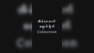 Toilet Collection